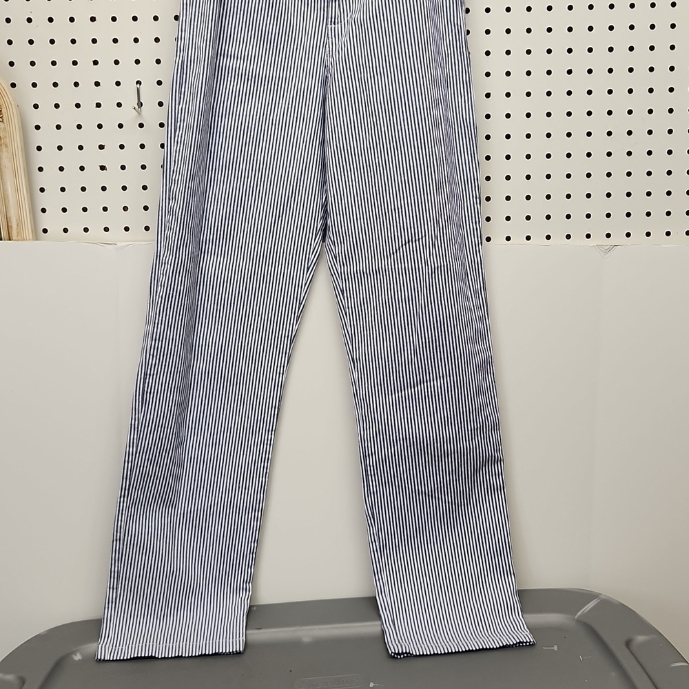 Pacsun John Galt pants NWT size 1 blue stripes - Picture 2 of 8